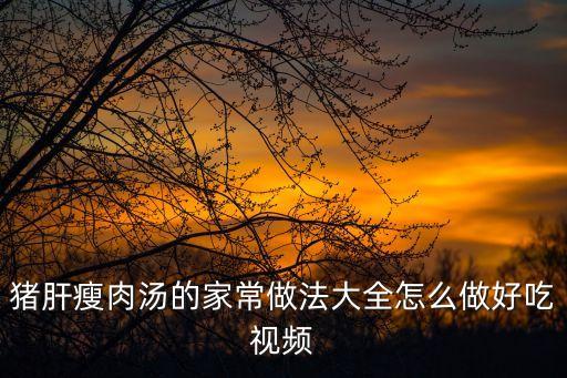 豬肝瘦肉湯的家常做法大全怎么做好吃視頻