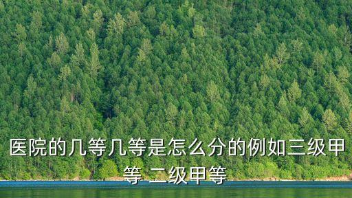 上海市一級醫院和三級有什么區別，上海1甲醫院與3甲醫院哪個好
