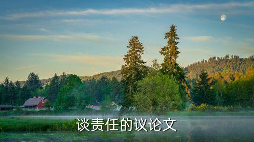 談責(zé)任的議論文