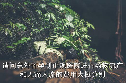 請問意外懷孕到正規醫院進行藥物流產和無痛人流的費用大概分別