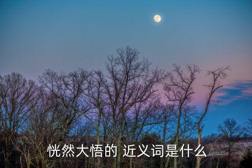  恍然大悟的 近義詞是什么