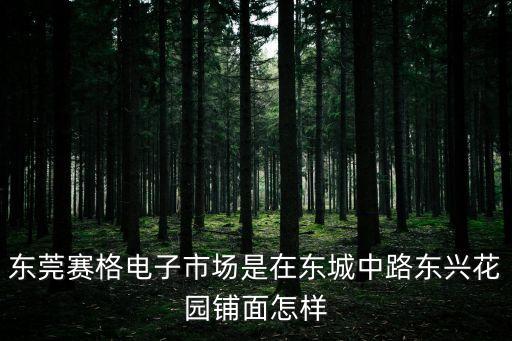 東莞賽格電子市場是在東城中路東興花園鋪面怎樣