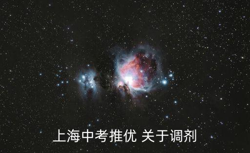 上海中考推優 關于調劑