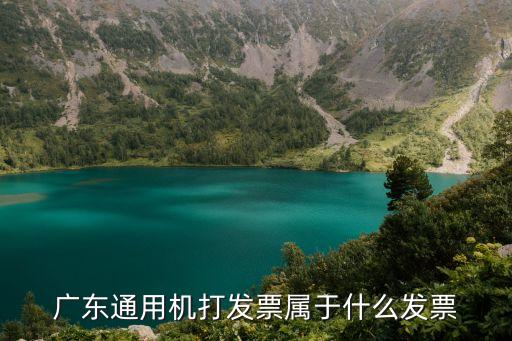 廣東通用機打發票屬于什么發票