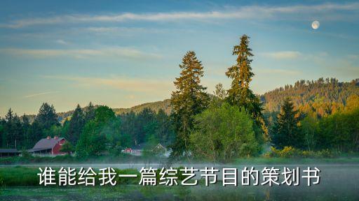 綜藝節(jié)目策劃案，求一份綜藝類節(jié)目的策劃