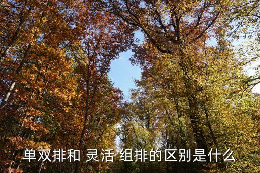 單雙排和 靈活 組排的區別是什么