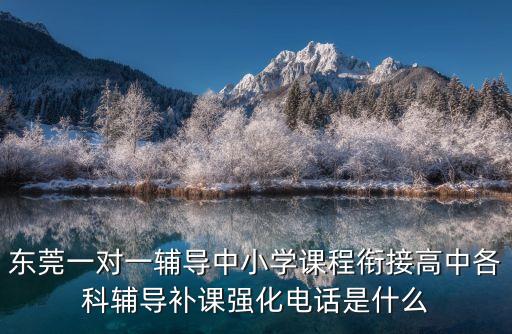 東莞一對一輔導中小學課程銜接高中各科輔導補課強化電話是什么