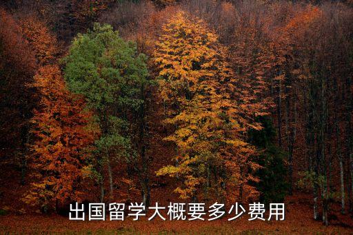 出國(guó)留學(xué)大概要多少費(fèi)用