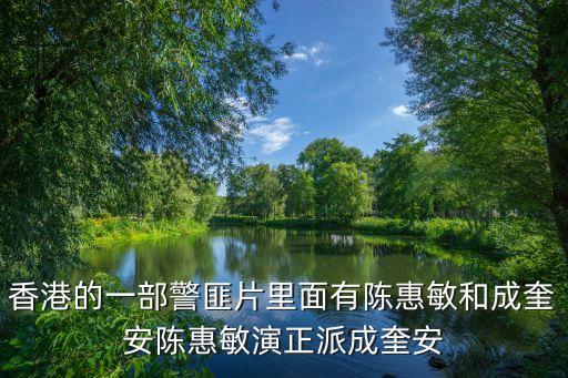 香港陳惠敏，香港演員陳慧敏演的一部電影里面有108路鐵腿叫什么名