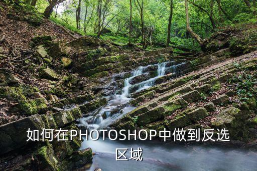 如何在PHOTOSHOP中做到反選區域