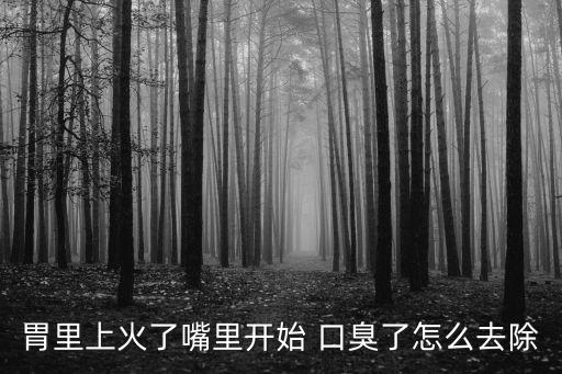 胃里上火了嘴里開始 口臭了怎么去除