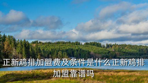 東莞正新雞排店嗎，正新雞排加盟條件及費(fèi)用明細(xì)