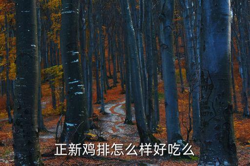東莞石龍鎮(zhèn)正新雞排店，正新雞排第一佳雞排那個(gè)好吃