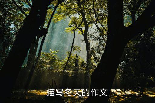描寫冬天的作文