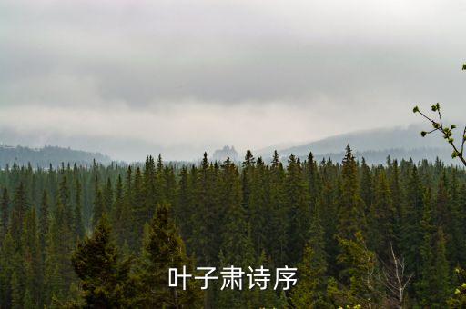 詩序，詩序 是什么意識