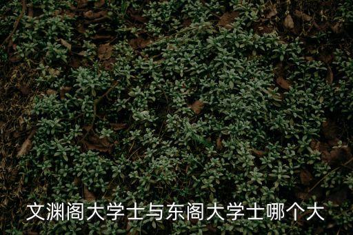文淵閣大學士與東閣大學士哪個大