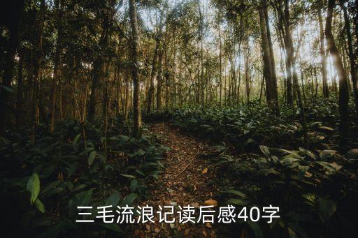 三毛流浪記讀后感40字