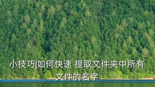 文件名提取,用要生成的統(tǒng)計名稱在文件夾下創(chuàng)建新文本文件