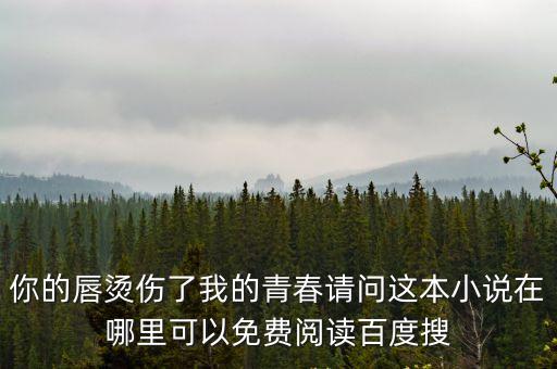 我的青春閱讀，你的唇燙傷了我的青春請問這本小說在哪里可以免費閱讀百度搜