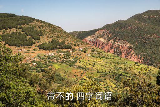 帶不的 四字詞語