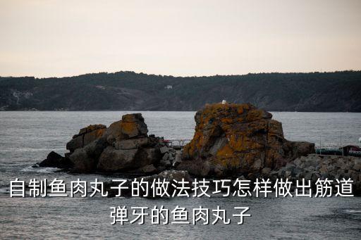 自制魚(yú)肉丸子的做法技巧怎樣做出筋道彈牙的魚(yú)肉丸子