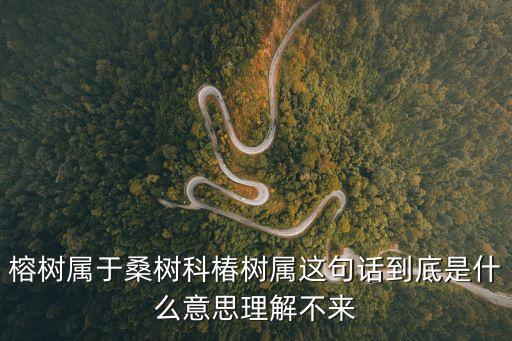 榕樹的意思，榕樹屬于桑樹科椿樹屬這句話到底是什么意思理解不來