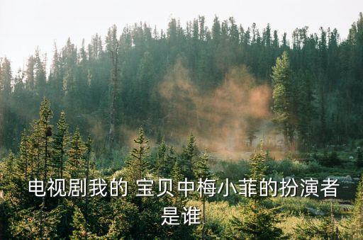  電視劇我的 寶貝中梅小菲的扮演者是誰(shuí)