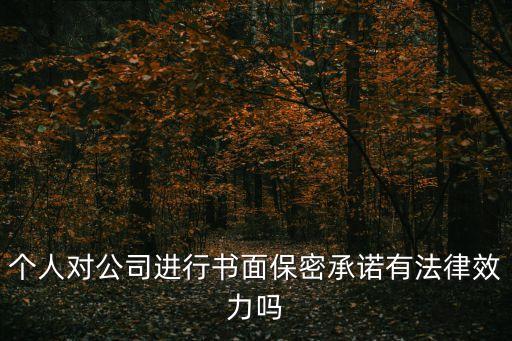 個人對公司進行書面保密承諾有法律效力嗎