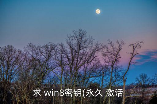 win8激活碼,淘寶搜索框輸入win8.1專業版激活