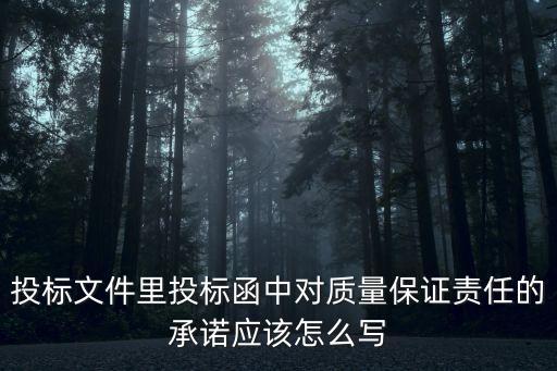 投標文件里投標函中對質量保證責任的承諾應該怎么寫
