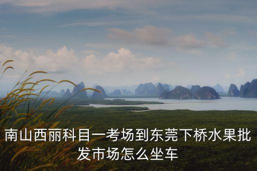 南山西麗科目一考場到東莞下橋水果批發(fā)市場怎么坐車