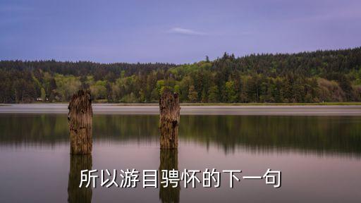 所以游目騁懷，所以游目騁懷是什么意思