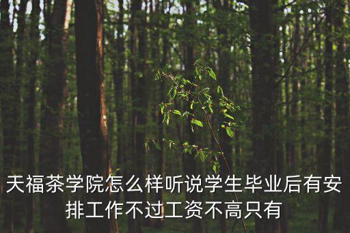 天福茶學院，355能上天福茶學院嗎