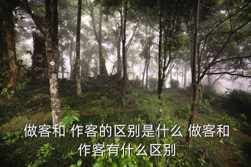  做客和 作客的區(qū)別是什么 做客和 作客有什么區(qū)別