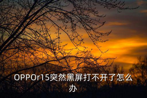 OPPOr15突然黑屏打不開了怎么辦