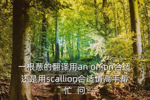 蔥英文，一根蔥的翻譯用an onion合適還是用scallion合適請高手幫忙  問