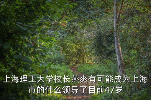 上海理工大學(xué)校長(zhǎng)燕爽有可能成為上海市的什么領(lǐng)導(dǎo)了目前47歲