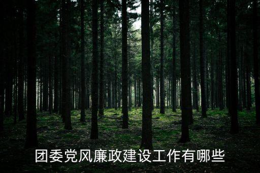 團委黨風廉政建設工作有哪些