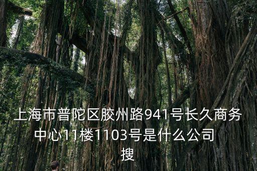上海市普陀區膠州路941號長久商務中心11樓1103號是什么公司  搜
