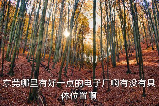 東莞德普特電子在哪里，東莞哪里有好一點(diǎn)的電子廠啊有沒(méi)有具體位置啊