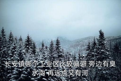 長安鎮(zhèn)哪個工業(yè)區(qū)比較偏僻 旁邊有臭水溝 再遠點又有河