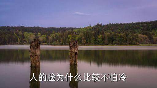 人的臉為什么比較不怕冷