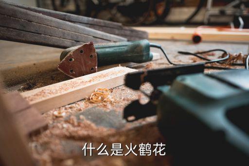 什么是火鶴花