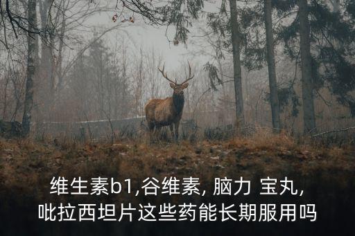 腦力寶丸,白質(zhì)地黃丸主要成分為:知母黃柏、山茱萸、芡實
