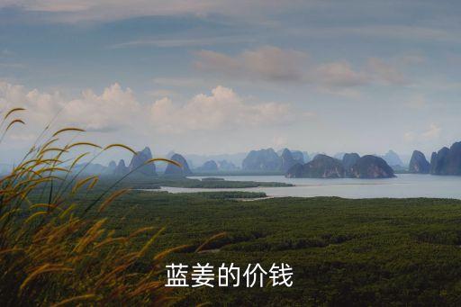 藍(lán)姜的價(jià)錢