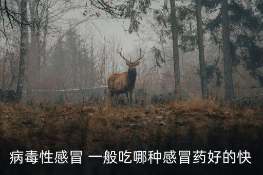 病毒性感冒 一般吃哪種感冒藥好的快
