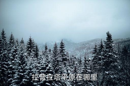 拉普拉塔平原在哪里
