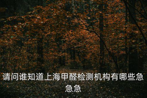 上海市除甲醛靠譜公司，上海有哪些比較好的甲醛治理公司