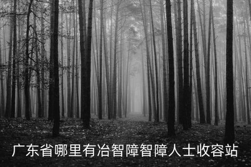 廣東省哪里有冶智障智障人士收容站