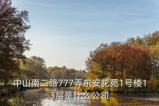 中山南二路777弄東安花苑1號樓13層是什么公司